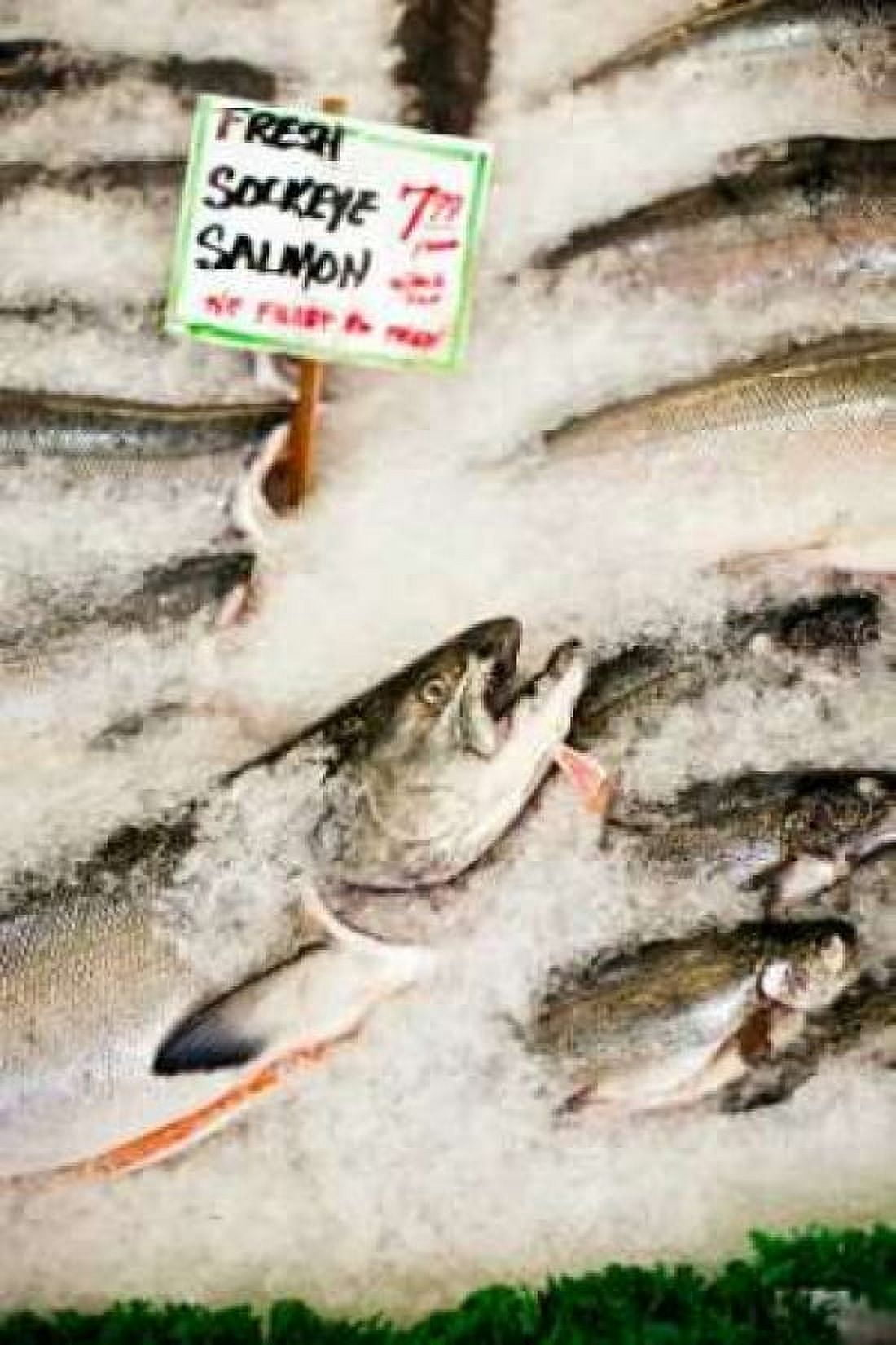 Fresh Seafood II Canvas Art - Bob Stefko (24 x 36)
