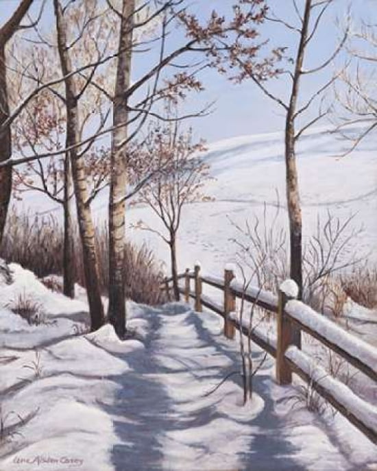 Fresh Snow Canvas Art - Lene Alston Casey (24 x 30)