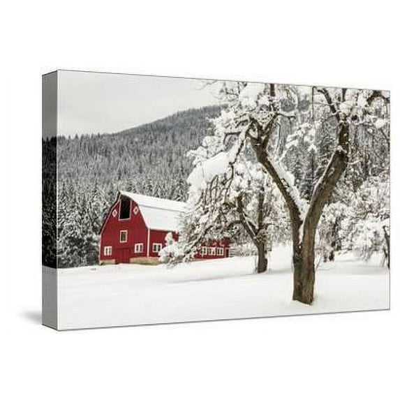 Fresh Snow on Red Barn Near Salmo, British Columbia, Canada, Scenic Seasons Stretched Canvas Wall Art by Chuck Haney Sold by Art.Com