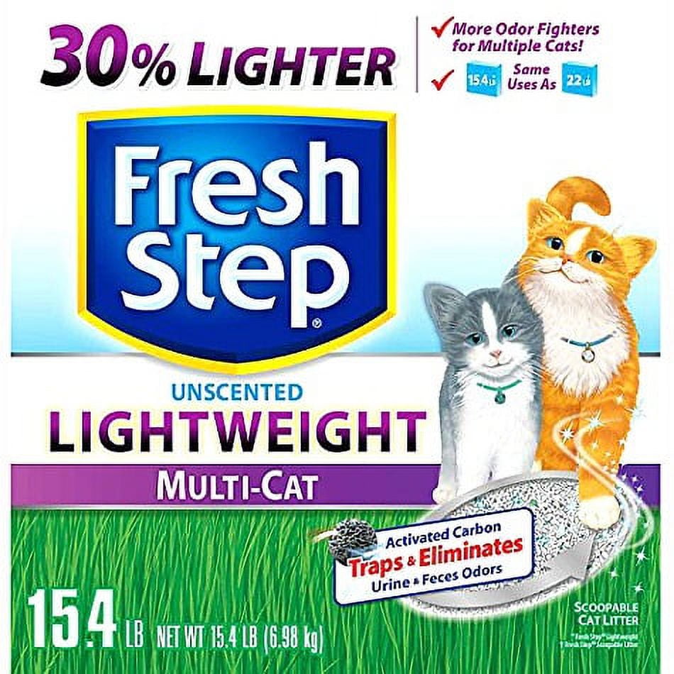 Cat Litter Birth Defects corona.dothome.co.kr