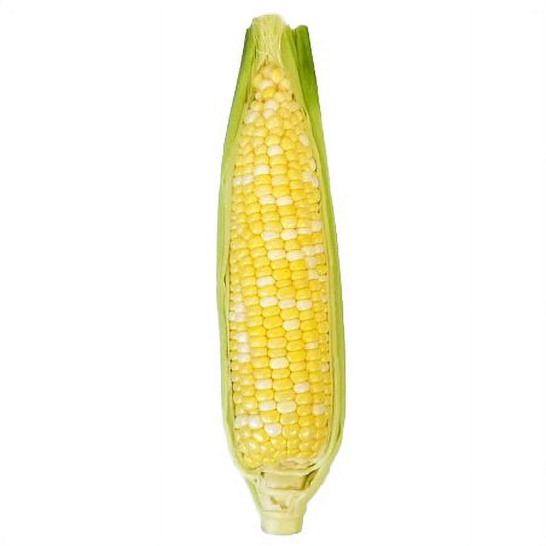 Shop Sweet Corn Fresh Frozen Canned