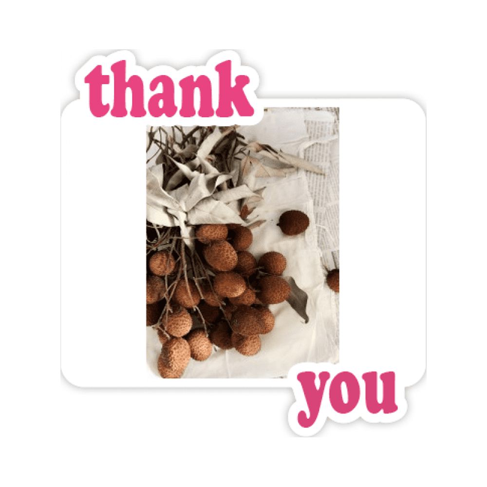 Fresh Tropical Fruit Litchi Picture Thank You Stickers Quote Grateful