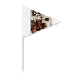 thumbnail image 1 of Fresh Tropical Fruit Litchi Picture Toothpick Triangle Cupcake Toppers Flag, 1 of 3