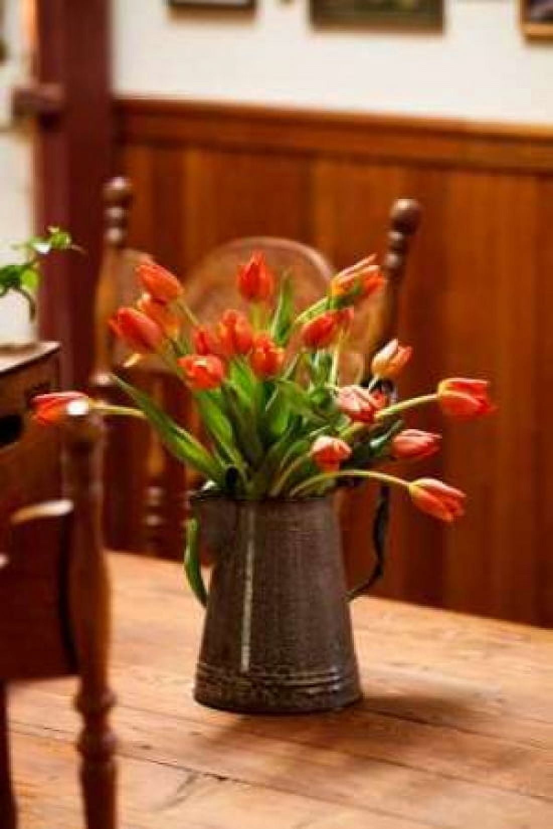 Fresh Tulips I Canvas Art - Philip Clayton-Thompson (24 x 36)