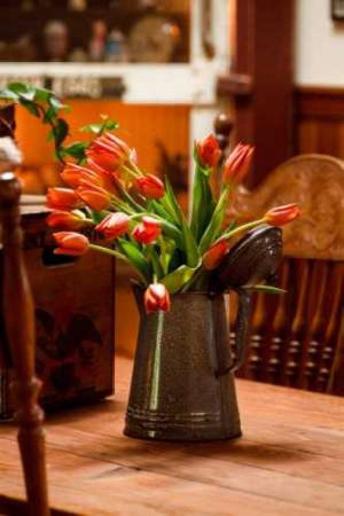 Fresh Tulips II Canvas Art - Philip Clayton-Thompson (12 x 18)