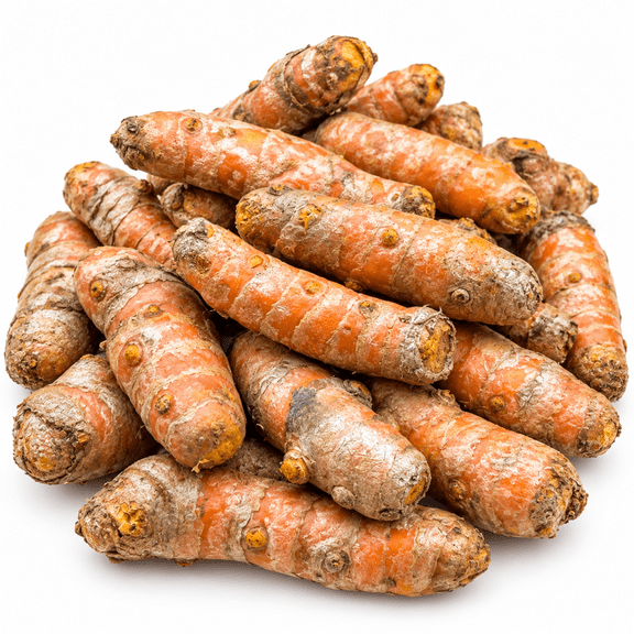 Fresh Organic Turmeric Root, Whole Rhizome