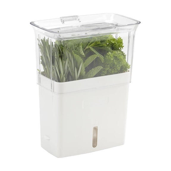 Fresh Vegetable Fresh-keeping Box, Vegetable Fresh-keeping Device, Coriander and Herb Fresh-keeping Box