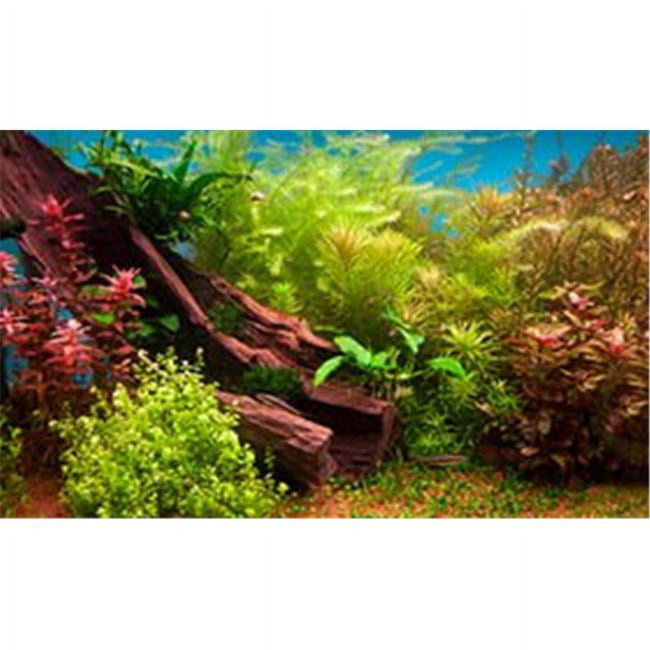 Fresh Water Plants 3d Depth Aquarium Background 20 Gallon - Walmart.com