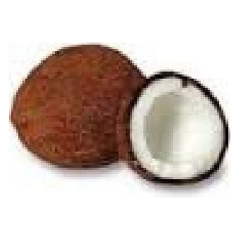 Fresh Whole Coconut Size Varies for decoration or food by fresh 