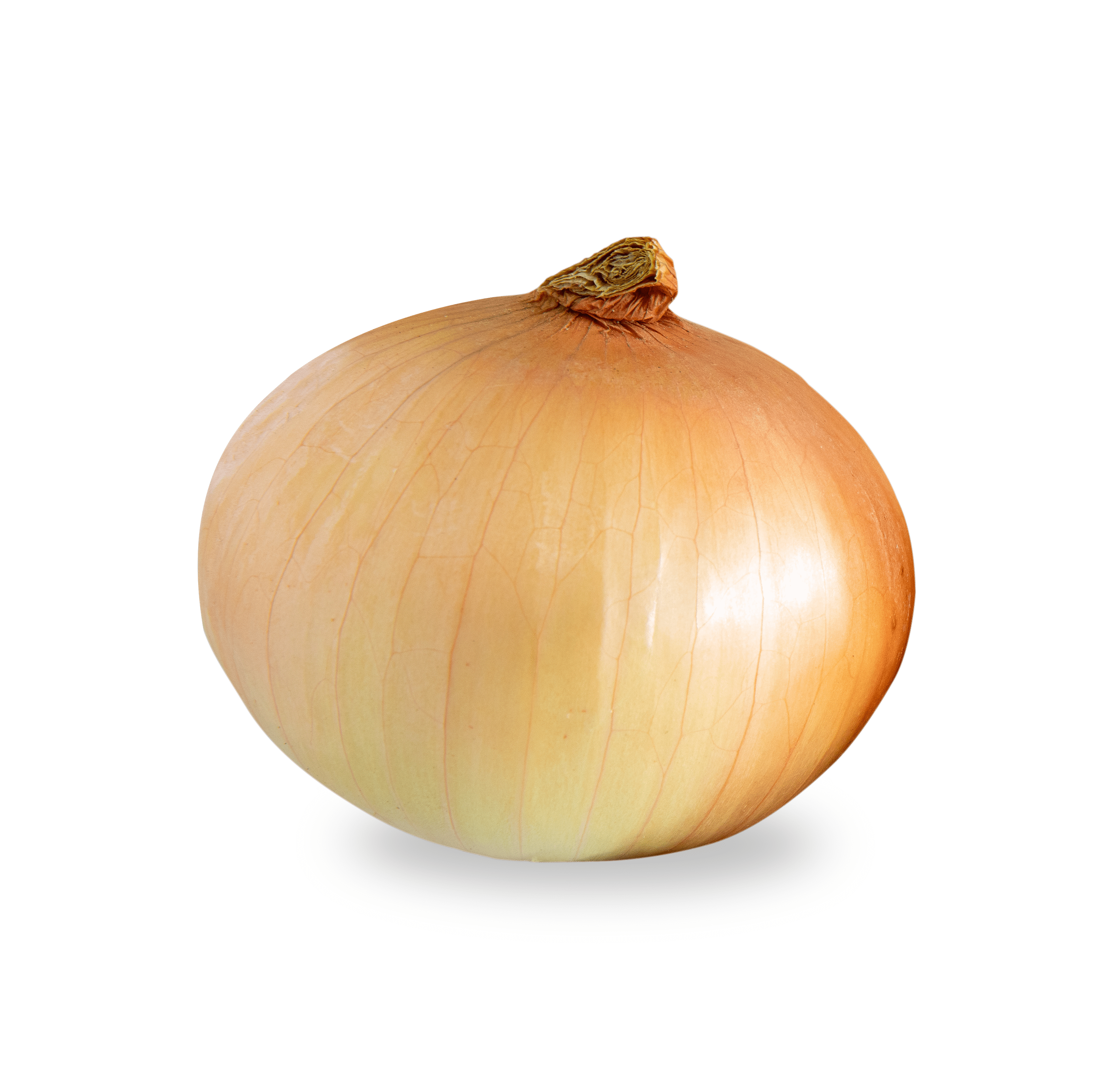 Fresh Whole Sweet Onion, Each