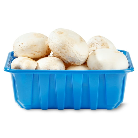 Fresh Whole White Mushrooms, 16 oz