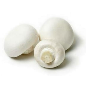 Fresh Whole White Mushrooms, Bulk