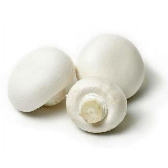 Fresh Whole White Mushrooms, Bulk