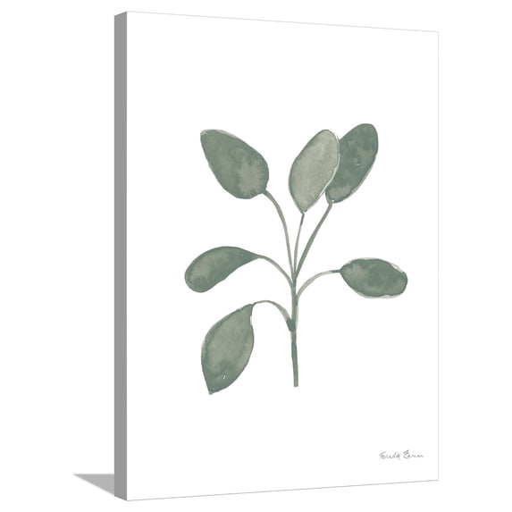 Art.com Fresh and Green VII Dark Stretched Canvas Print Wall Art by Farida Zaman, 24" x 32"