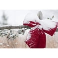 thumbnail image 1 of Fresh snow on holiday bow and decorations on fence post  Christmas season; Minnesota  United States of America Poster Pr, 1 of 2