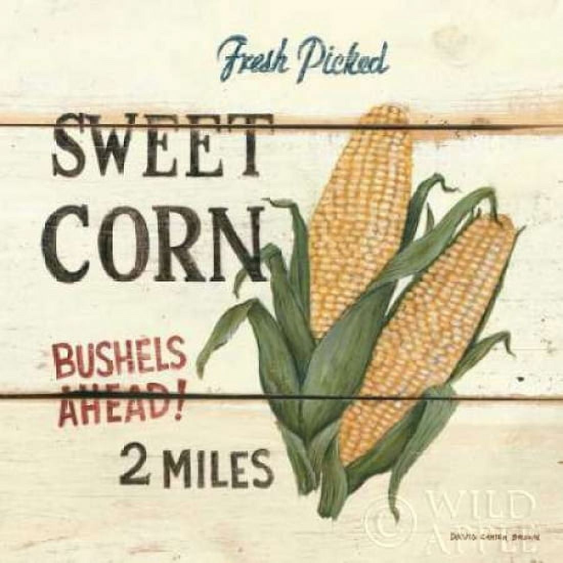 FreshPicked Sweet Corn Canvas Art - David Carter Brown (24 x 24)