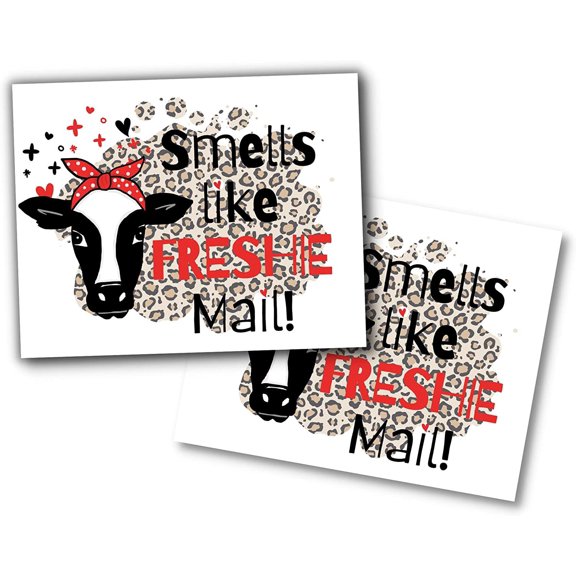 Freshie Sticker Smells Like Freshie Mail Care Instructions Leopard Cow Fringe  100 pcs roll  3x2 for Silicone Mold Aroma Bead Scent Customer Package Warning Label