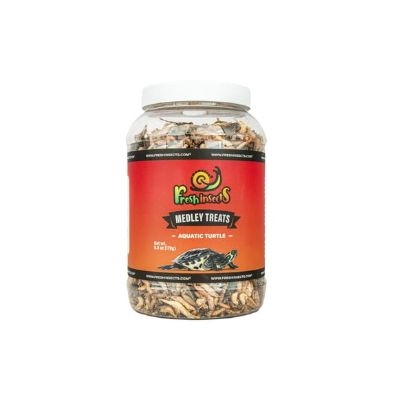 Dried Mealworms