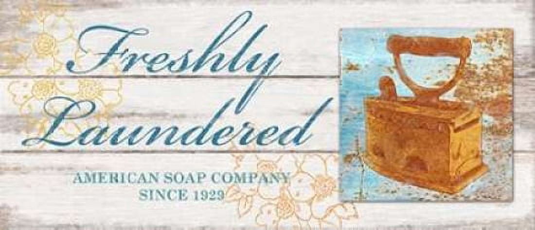 Freshly Laundered Canvas Art - Sam Appleman (24 x 48)
