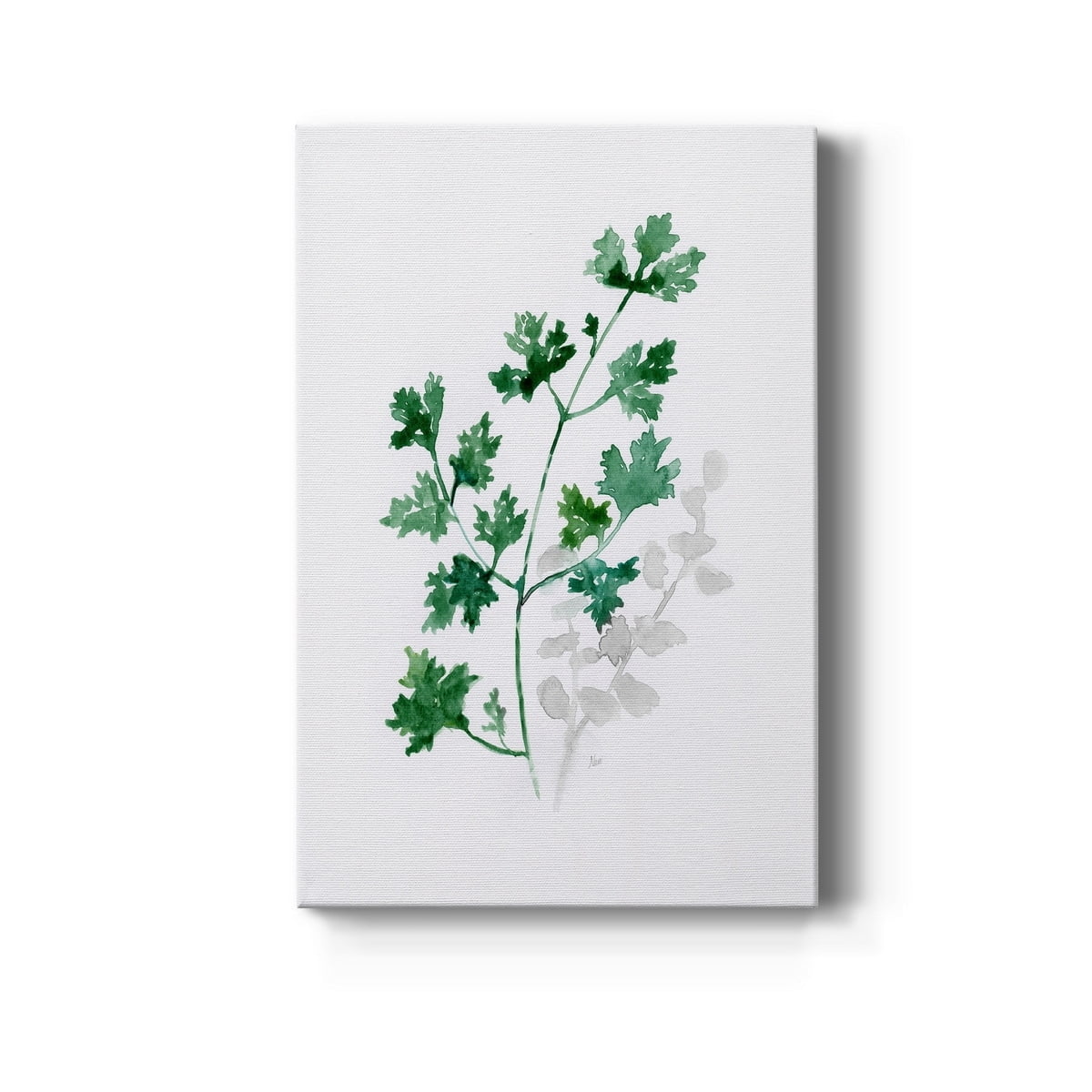 Freshly Picked I Premium Gallery Wrapped Canvas - Ready to Hang - 8 x 12