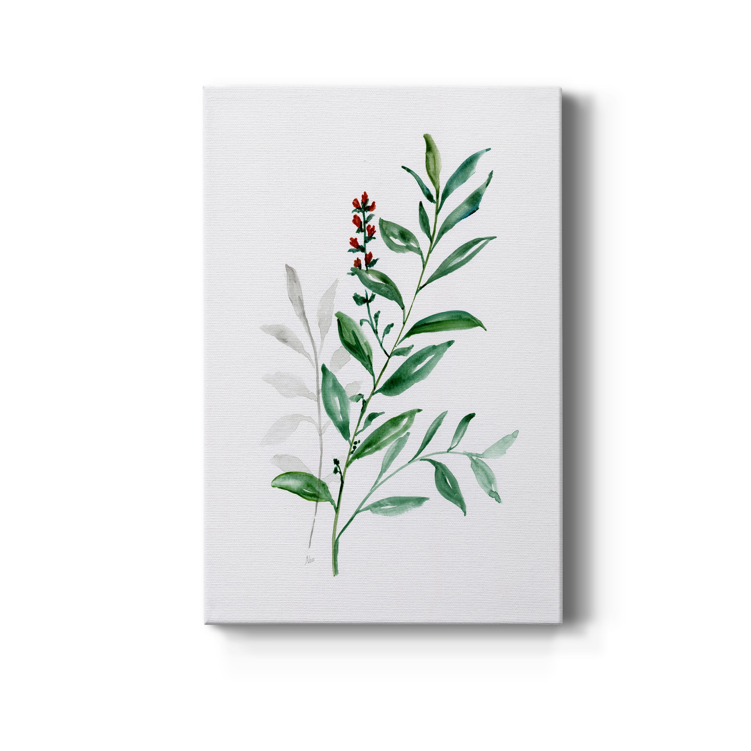 Freshly Picked III Premium Gallery Wrapped Canvas - Ready to Hang - 24 x 36