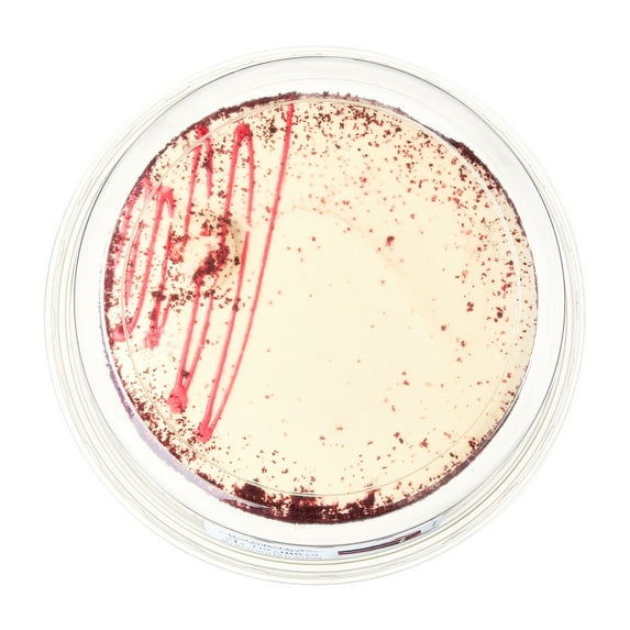 Freshness Guaranteed Red Velvet Cake, Serves 10, 31 oz (Refrigerated Cakes)