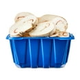 thumbnail image 1 of Freshness Guaranteed Sliced White Mushrooms, 8 oz, 1 of 3