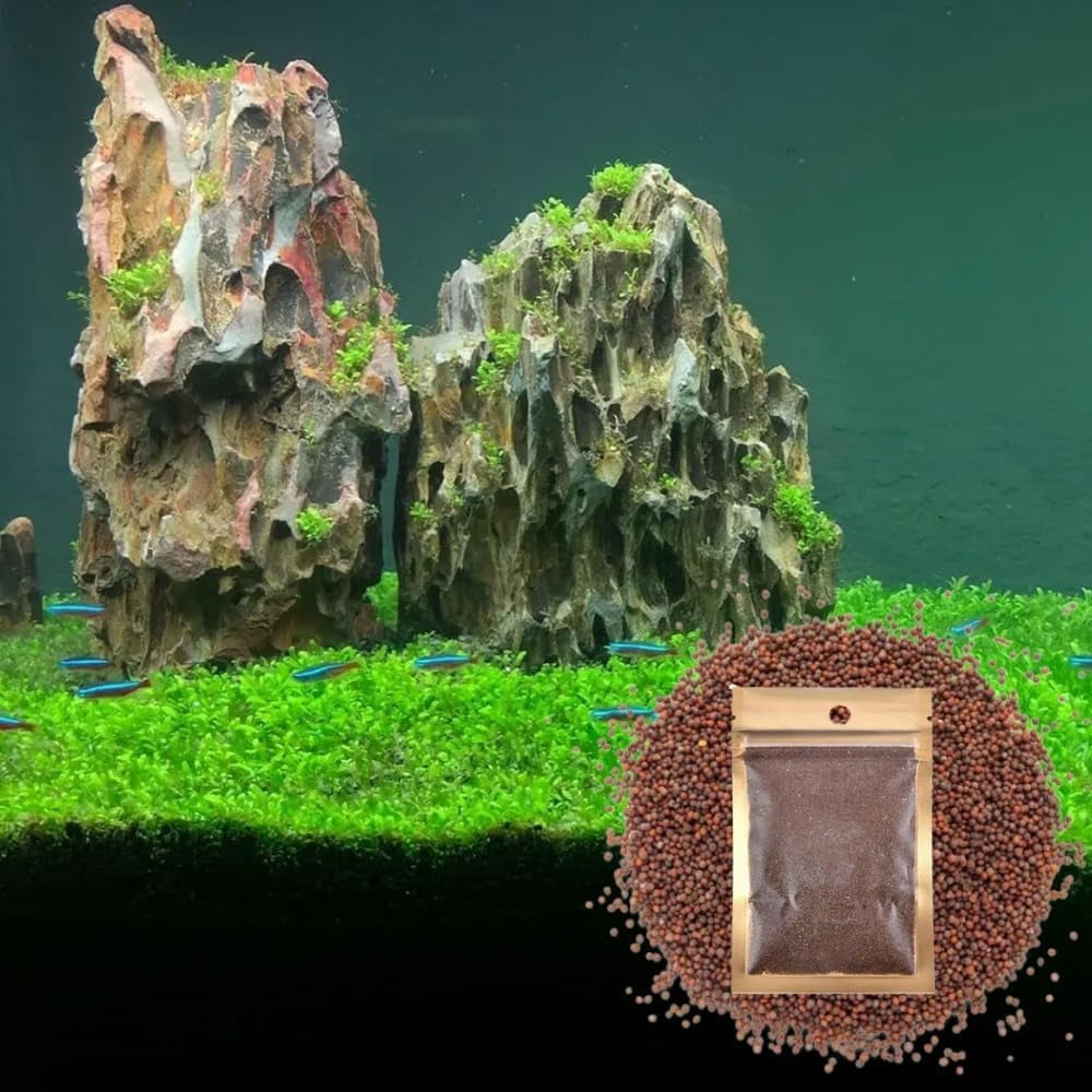 Live Aquarium Carpet Plants