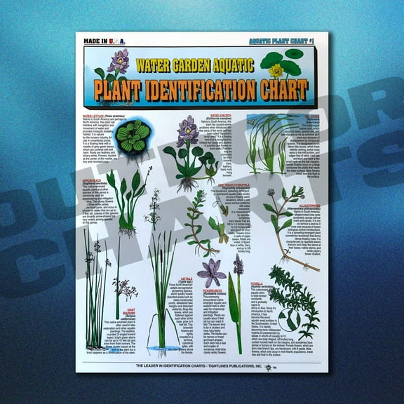 Freshwater Aquatic Plant Identification Chart #12 (Florida APMS Inc.)