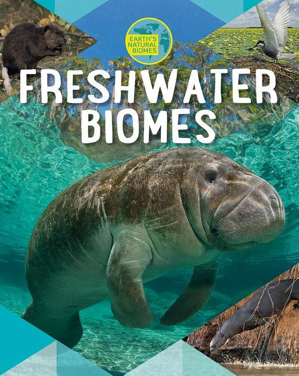 Freshwater Biomes (Paperback) - Walmart.com