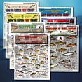 thumbnail image 1 of Fishermen's Freshwater Fish Identification Set - Waterproof Quick Reference Guide | Portable  Built to Last | Double-Sided  Easy to Read, 1 of 11