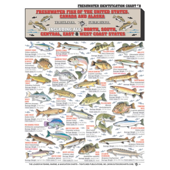 Freshwater Fish Identification Chart #8 (US, Canada, and Alaska) - Waterproof Quick Reference Guide | Portable & Built to Last | Double-Sided & Easy to Read | Includes Size and Food Quality