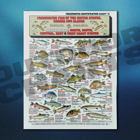 Freshwater Fish of the US, Canada, and Alaska Identification Chart #8