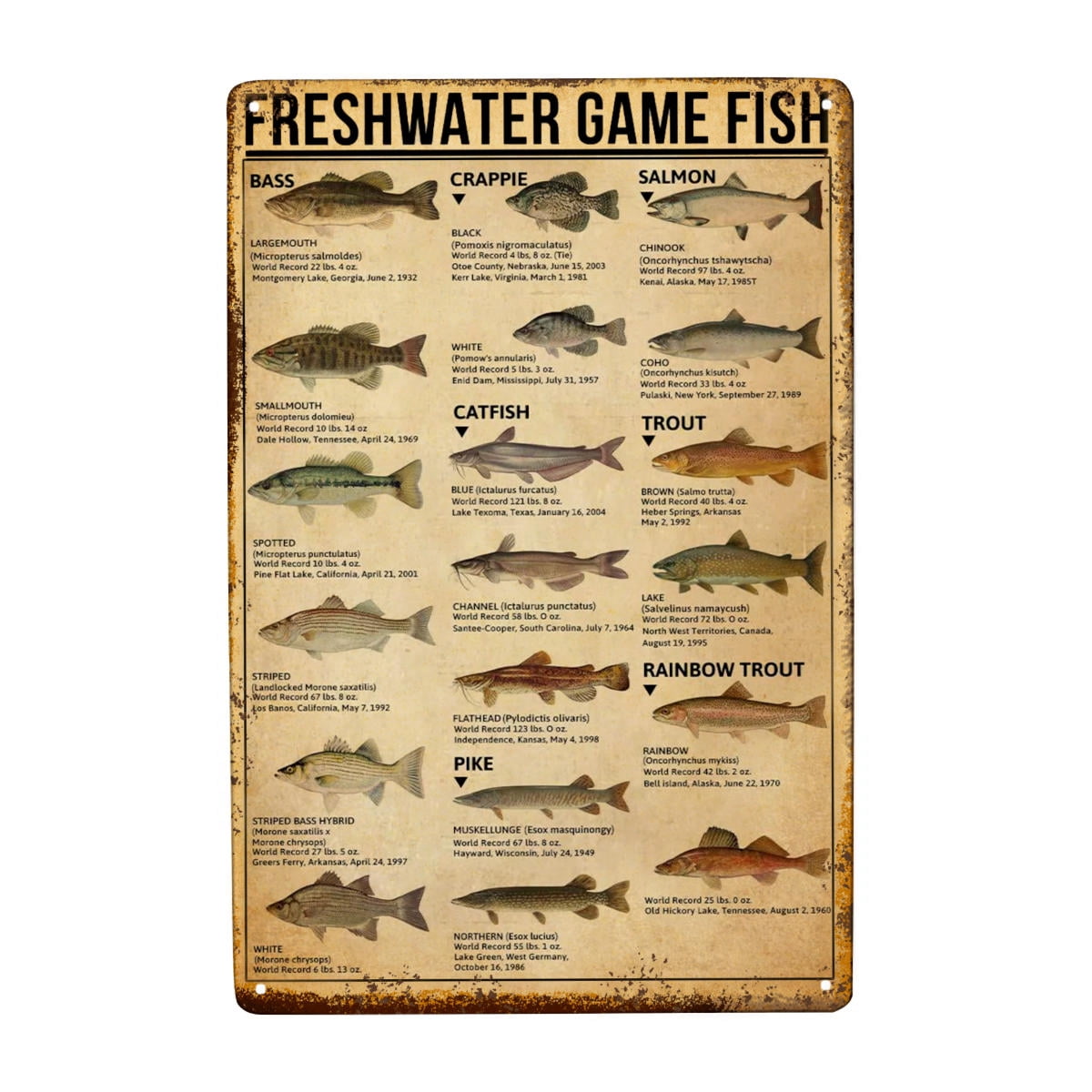 Freshwater Game Fish Vintage Tin Sign Retro Wall Decor Plaque for Home ...