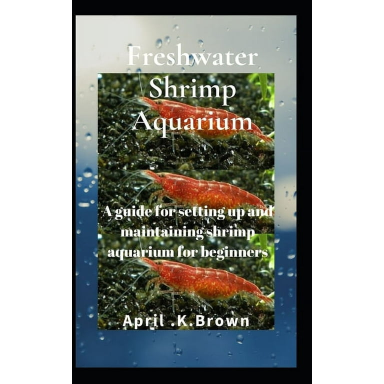Guidelines for Stocking Your Aquarium