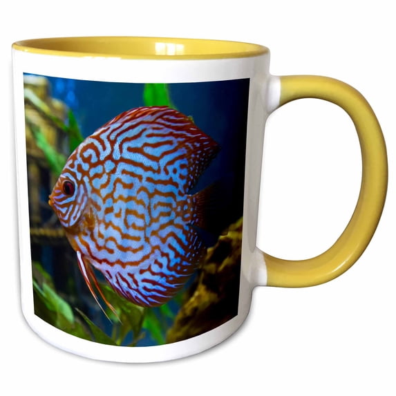 3drose, Freshwater Tropical Discus, Mosaic Turquoise Discus., 11oz Two-tone Yellow Mug