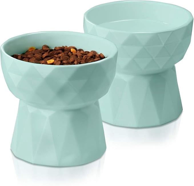 Frewinky Cat Bowls,Ceramic Cat Bowls Anti Vomiting,Raised-Cat Food and Water Bowl set for Cats and Small Dogs,13.5 Oz，Green