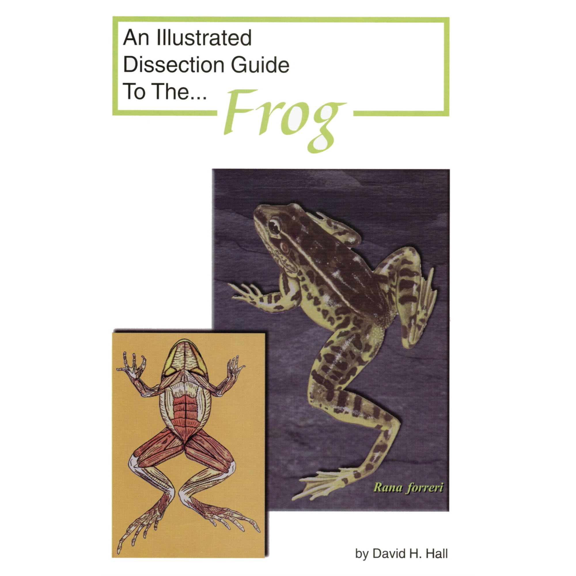 Frey Scientific Mini-Guide to Frog Dissection, Paperback, 16 Pages ...