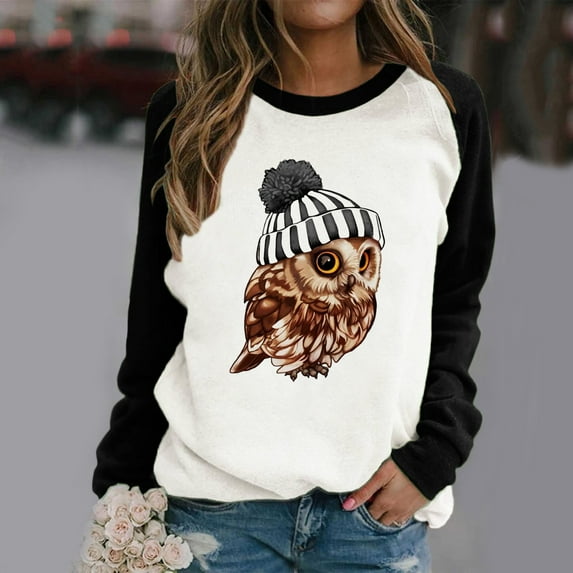 RYDCOT Owl Print Color-Block Sweatshirt - Women Owl Print Stitching Contrast Color Top Sweater Long Sleeves Basic Round Neck T-Shirt