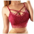 thumbnail image 1 of Lulshou Front-Lace Detail Bralette with Mesh Inserts - Women's Lace Tube Top Wrap Chest Sexy Bottoming Vest Hollow Bra Everyday Lightly Padded T-Shirt Bra, 1 of 1