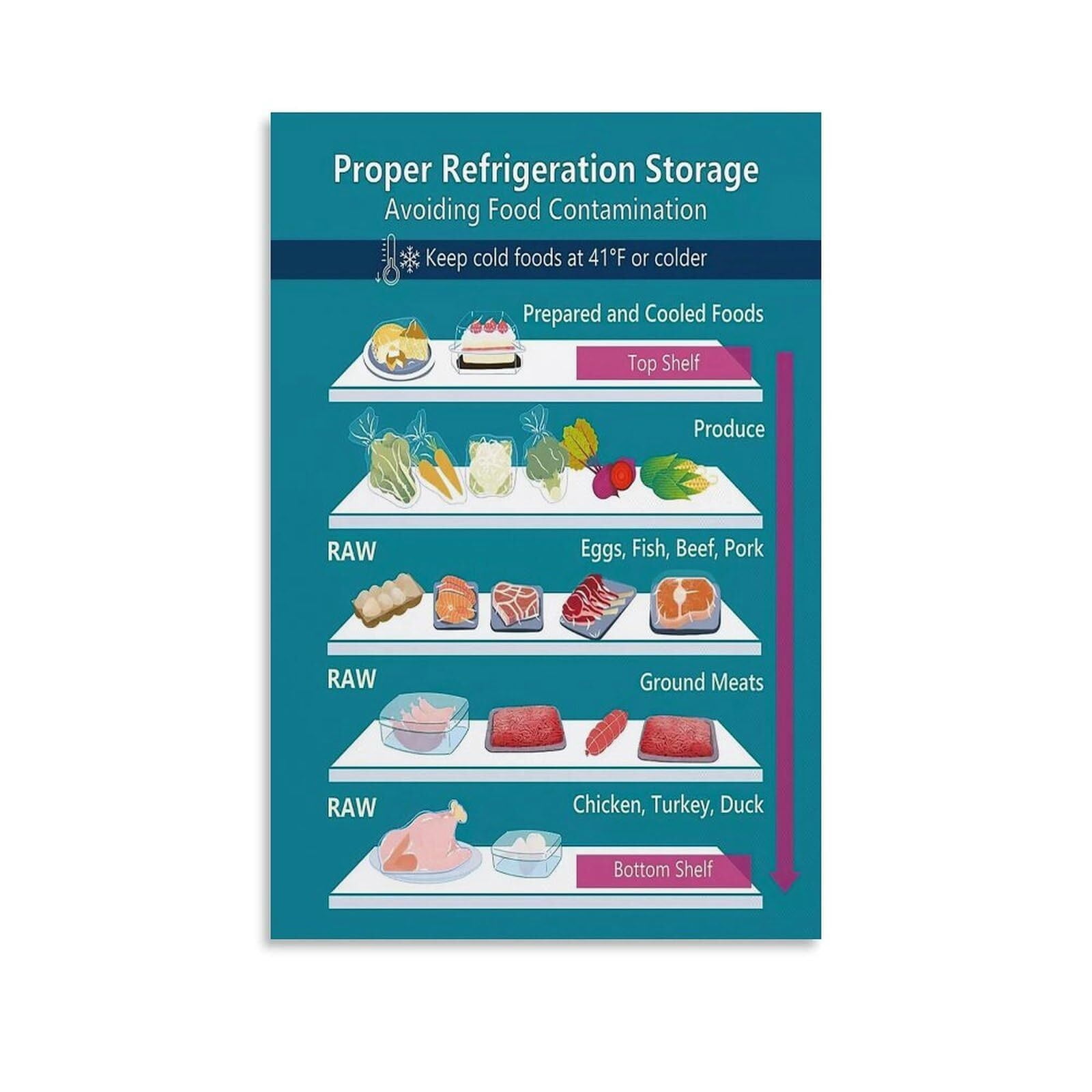 Fridge Layout Food Safety Refrigerator Storage Chart Poster Kitchen ...