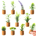 thumbnail image 1 of Fridge Magnet Plastic Plant 10PCS Refrigerator Magnet Miniature Succulent Decor, 1 of 4