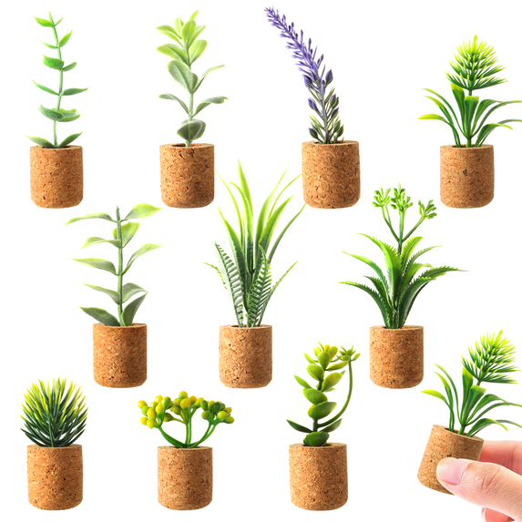 Fridge Magnet Plastic Plant 10PCS Refrigerator Magnet Miniature Succulent Decor
