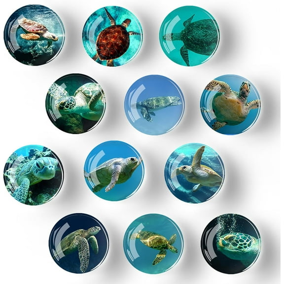 Fridge Magnets for Adults 12 Pcs Decorative Glass Refrigerator Magnets Cute Colorful Strong Magnets for Fridge Whiteboard Dishwasher Lockers (Turtle)