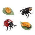 thumbnail image 1 of Fridja 4 Piece Insect Figure Ladybug Life Cycle Plastic Brood To Period, 1 of 6