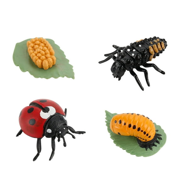 Fridja 4 Piece Insect Figure Ladybug Life Cycle Plastic Brood To Period
