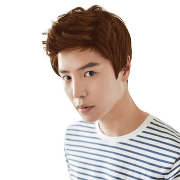 Fridja Fashion Short Wigs for Men Wig Man Male Brown Black Handsome Cool Wig