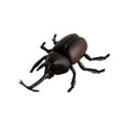 thumbnail image 1 of Fridja Realistic RC Beetle Toy, Infrared Remote Control Fake Stag Beetle Simulated, 1 of 6