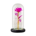 thumbnail image 1 of Fridja Valentine's Day Gift for Women Pink Rose Birthday Gifts for Her Rose Enchanted Warm Light Led Flower Galaxy Rose Light in Glass Dome, Unique Gifts for Her Wedding , Anniversary, 1 of 5