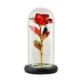 thumbnail image 1 of Fridja Valentine's Day Gift for Women Red Rose Birthday Gifts for Her Rose Enchanted Warm Light Led Flower Galaxy Rose Light in Glass Dome, Unique Gifts for Her Wedding , Anniversary, 1 of 5
